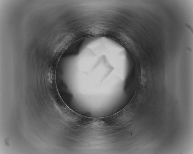 X0000102870210200808251249