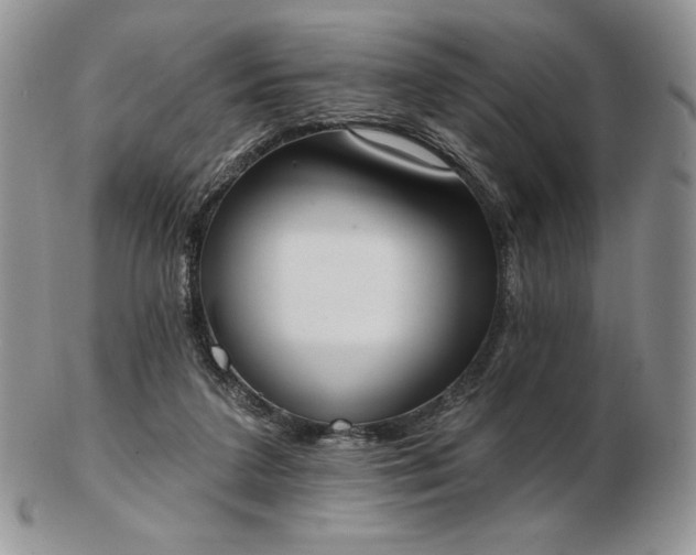 X0000102870211200808251249