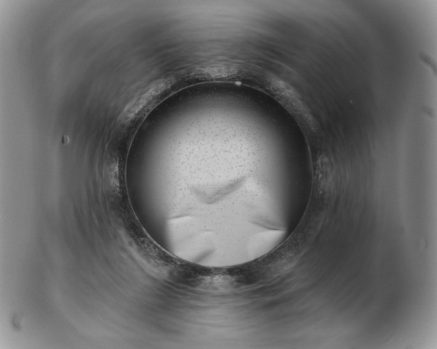 X0000102870212200808251249