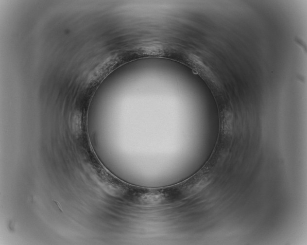 X0000102870213200808251249