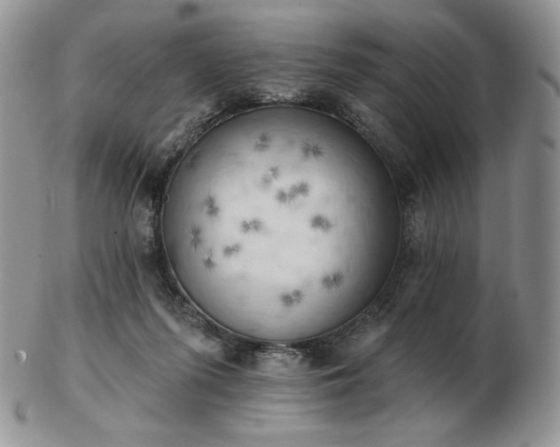 X0000102870215200808251249