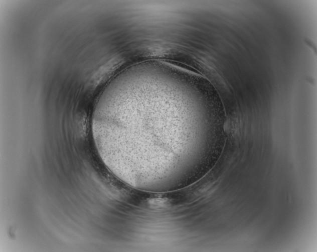 X0000102870216200808251249