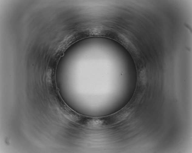 X0000102870217200808251249