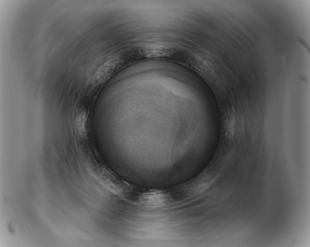 X0000102870219200808251249