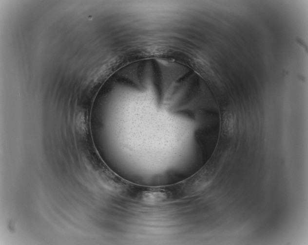 X0000102870220200808251249