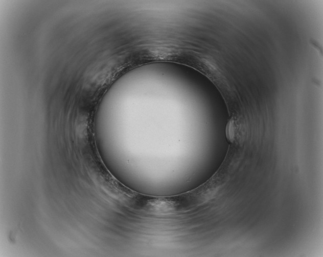 X0000102870221200808251249