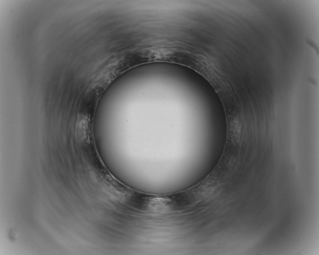 X0000102870222200808251249