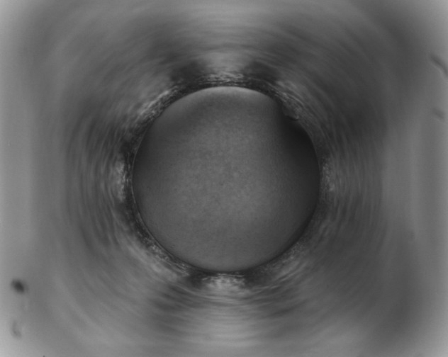 X0000102870223200808251249