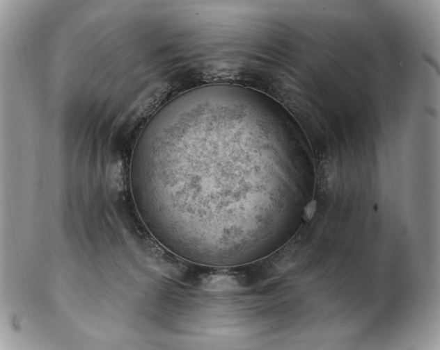 X0000102870224200808251249