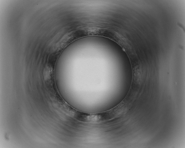 X0000102870225200808251249