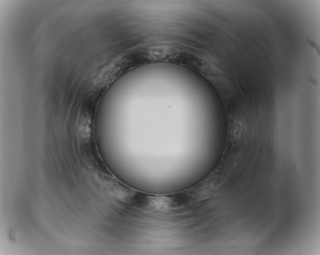 X0000102870226200808251249