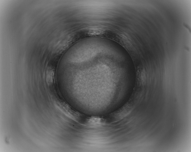 X0000102870227200808251249