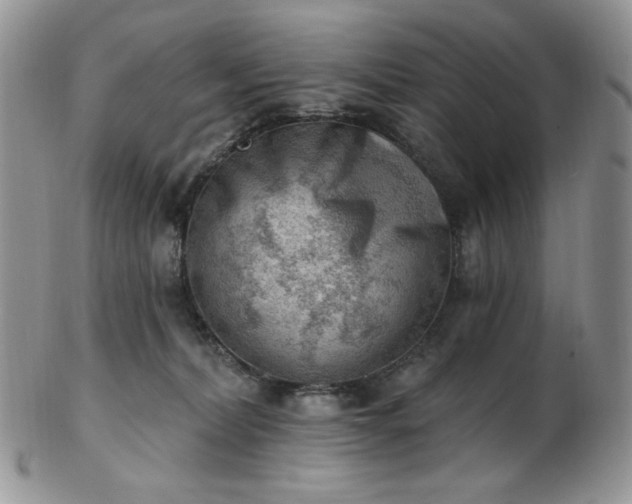 X0000102870228200808251249