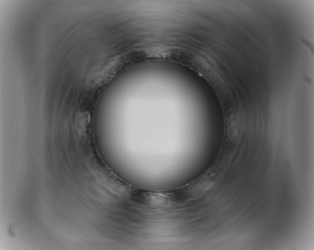 X0000102870229200808251248