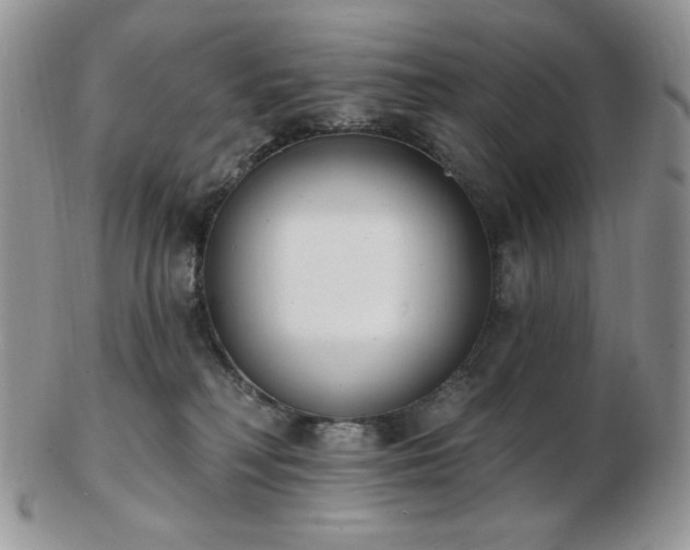 X0000102870230200808251248