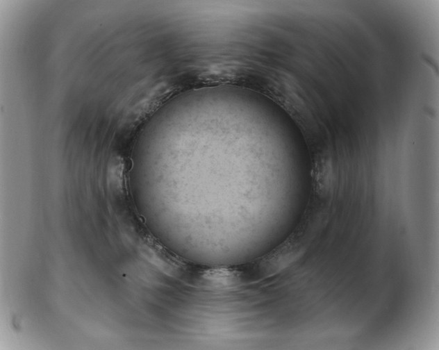 X0000102870231200808251248