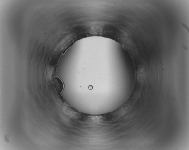 X0000102870233200808251248