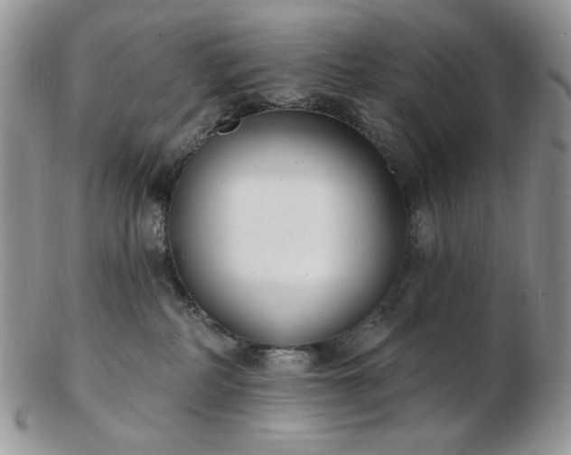 X0000102870234200808251248