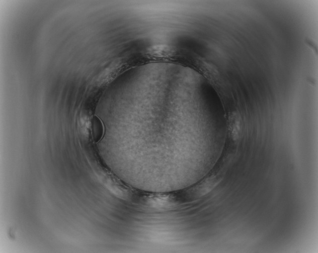 X0000102870235200808251248