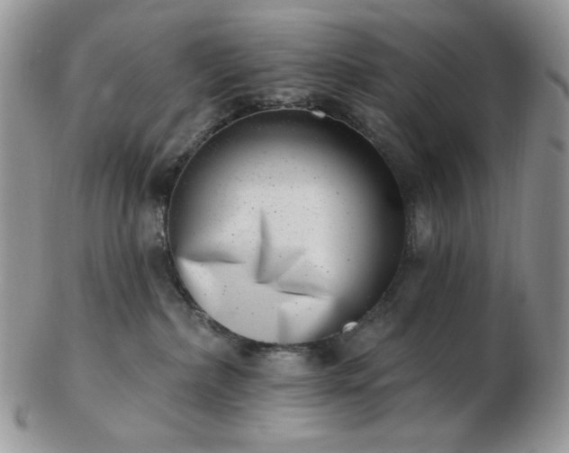 X0000102870236200808251248