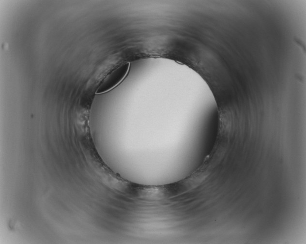 X0000102870237200808251248