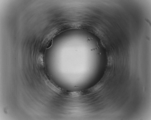 X0000102870238200808251248