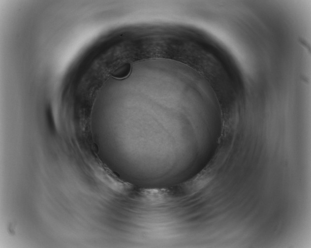 X0000102870239200808251248