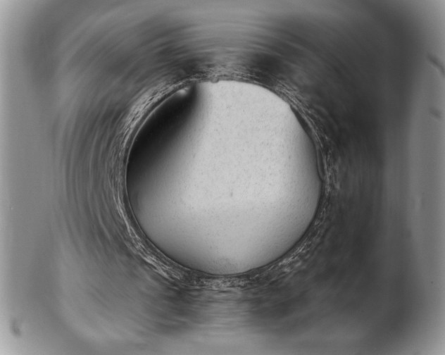 X0000102870241200808251248