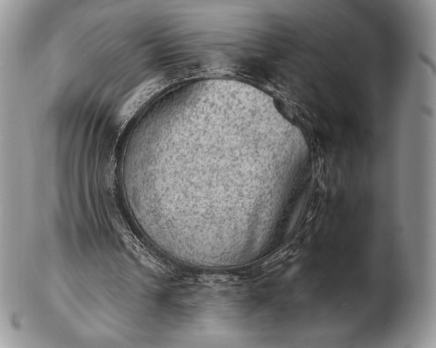 X0000102870242200808251248