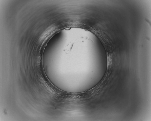 X0000102870243200808251248