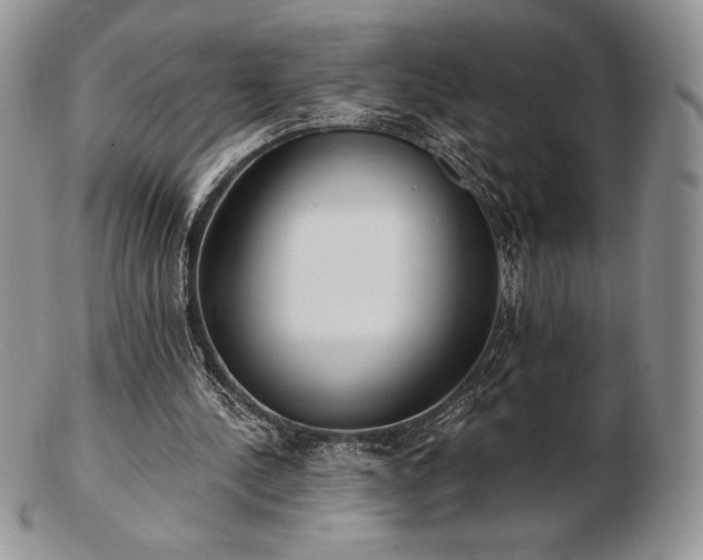 X0000102870244200808251248