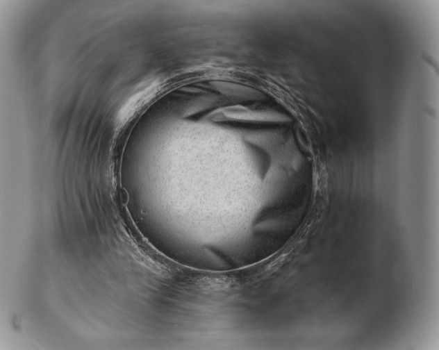 X0000102870245200808251248