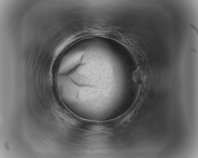 X0000102870246200808251248