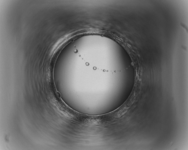 X0000102870247200808251248