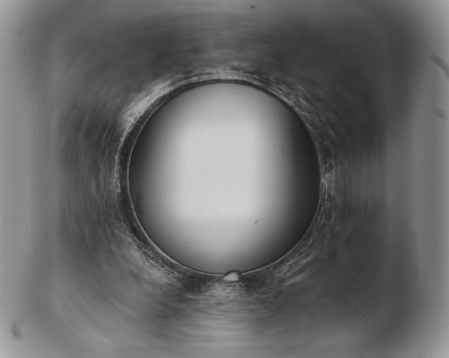 X0000102870248200808251248