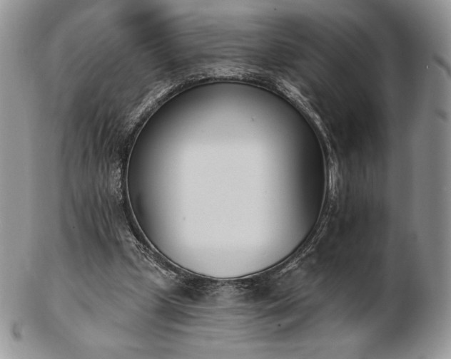 X0000102870249200808251248