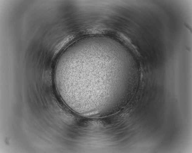 X0000102870250200808251248