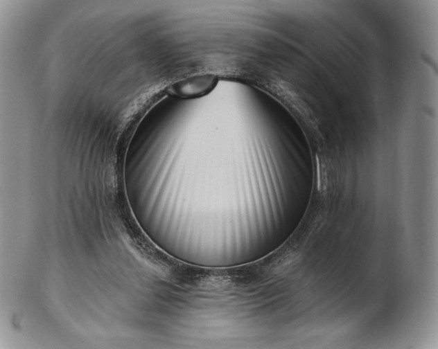 X0000102870252200808251248