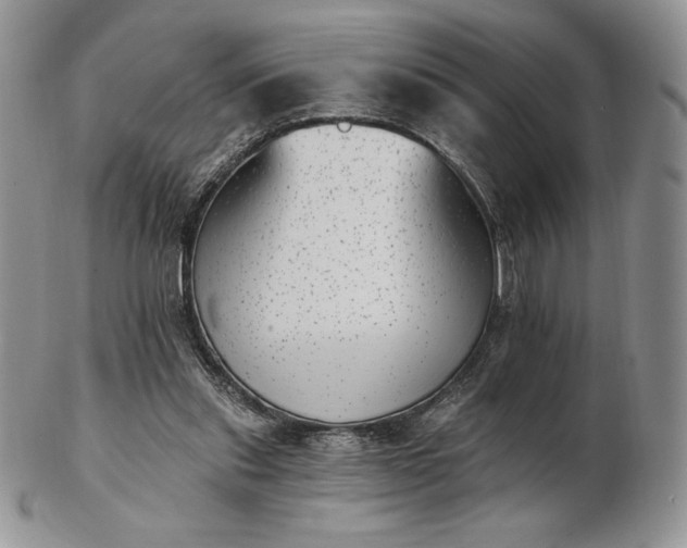 X0000102870253200808251248