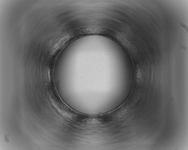 X0000102870254200808251248