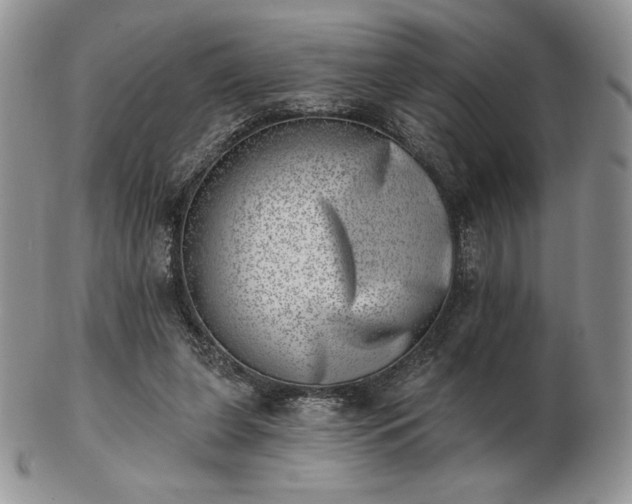 X0000102870255200808251248