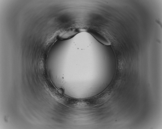 X0000102870256200808251248