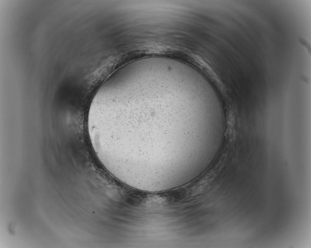 X0000102870257200808251248