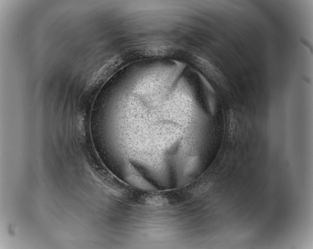 X0000102870258200808251248