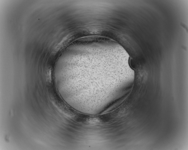 X0000102870262200808251248