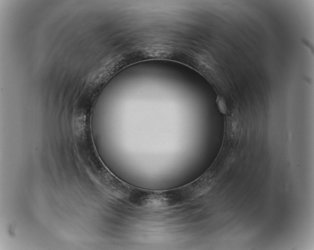 X0000102870263200808251248