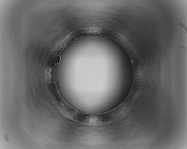 X0000102870264200808251248