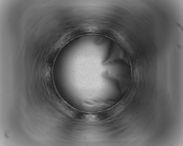 X0000102870265200808251248