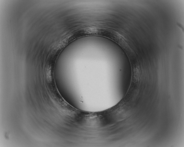 X0000102870267200808251248