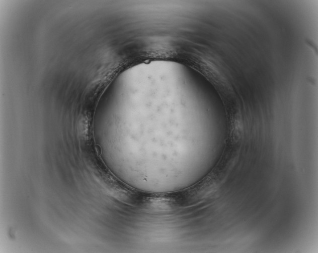 X0000102870268200808251248